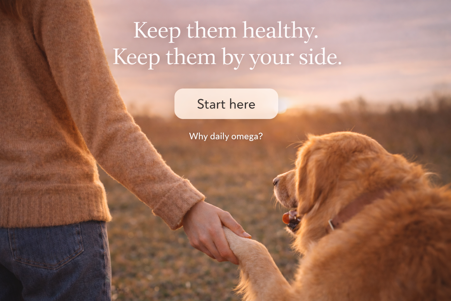 Keep them healthy. Keep them by your side. A person holding their golden retriever's paw in a sunset field.